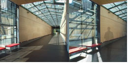 2006
